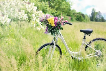 velo-nature