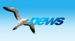 Lettre électronique n°1 de l’UFC-Que Choisir Paimpol Lannion – octobre 2025