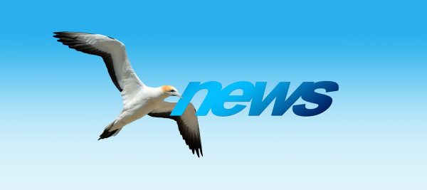 #newsletter-lettre-electronique